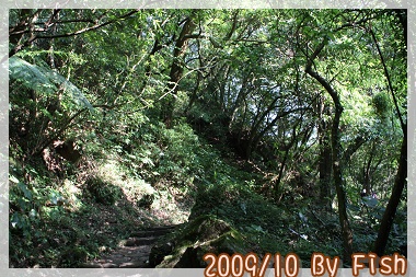 IMG_9683.jpg