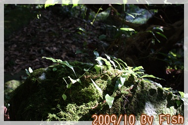 IMG_9686.jpg