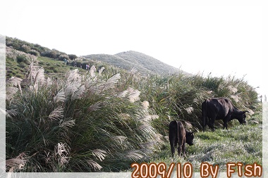 IMG_9788.jpg