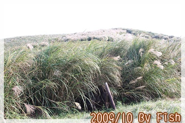 IMG_9790.jpg