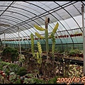 IMG_0633.jpg