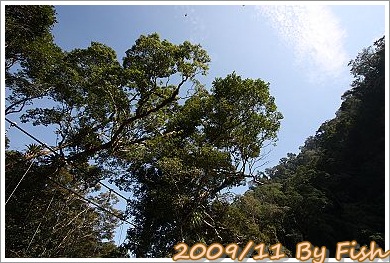IMG_1082.jpg
