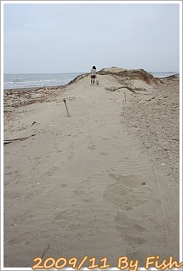 IMG_1397.jpg