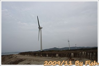 IMG_1407.jpg