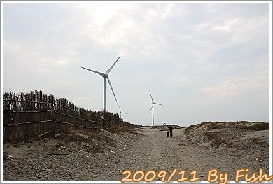 IMG_1415.jpg