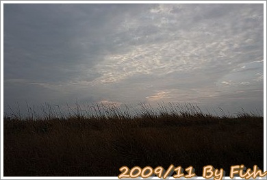 IMG_1432.jpg
