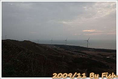 IMG_1447.jpg