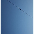 IMG_1733.jpg