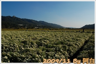 DSC_3245.jpg