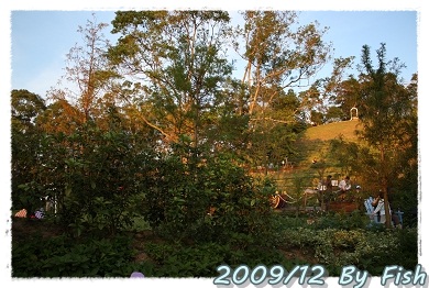 IMG_9887.jpg