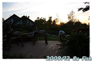 IMG_9903.jpg