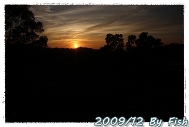 IMG_9913.jpg