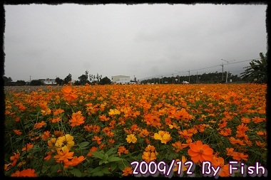 IMG_0597.jpg