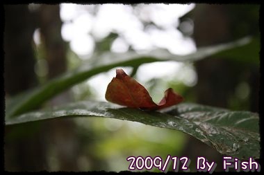 IMG_0970.jpg