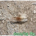 IMG_2546.jpg
