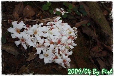 IMG_3147.jpg