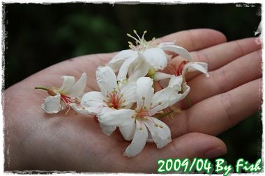 IMG_3251.jpg