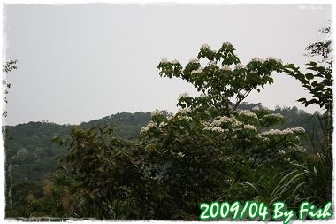 IMG_3265.jpg