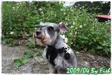 IMG_3319.jpg