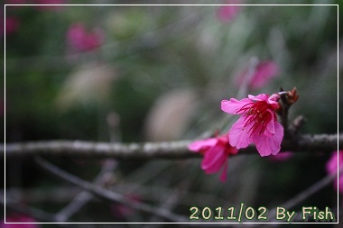 IMG_1022.jpg