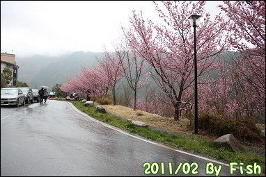 IMG_1666.jpg