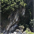 IMG_6630.jpg