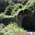 IMG_6617.jpg