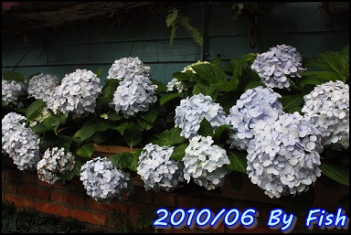 IMG_3920.jpg