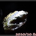 IMG_6588.jpg
