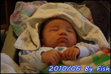 IMG_3996.jpg
