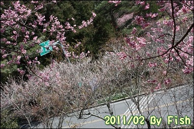 IMG_1189.jpg