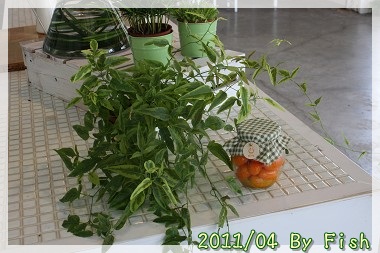 IMG_9677.jpg