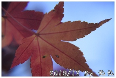 nEO_IMG_IMG_7515.jpg