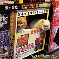DSCN1000.jpg
