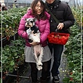 IMG_0842.jpg