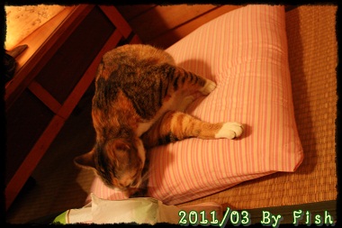 IMG_9876.jpg