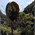 IMG_6584.jpg