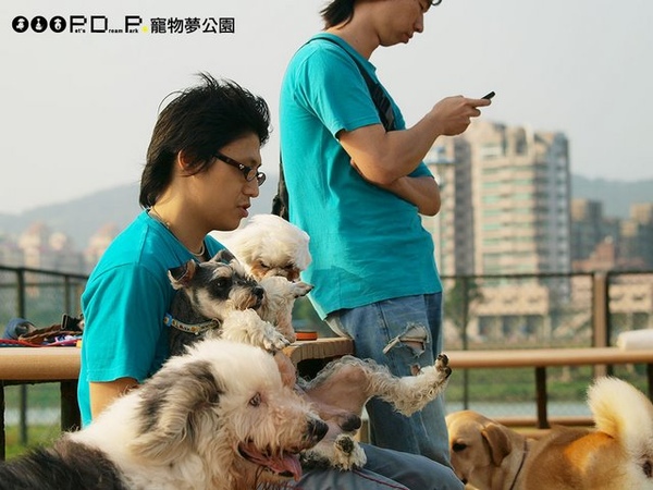 didi-92104092.jpg didi-92104092.jpg