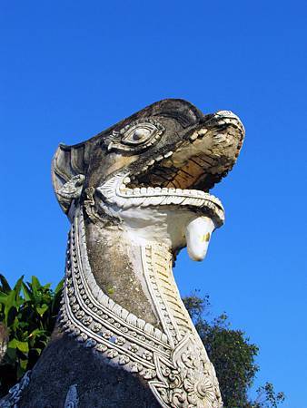 IMG_2156 IMG_2156