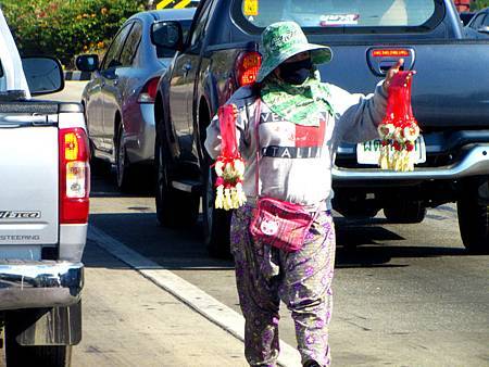 IMG_2253 IMG_2253