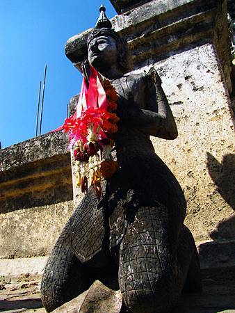 IMG_2288 IMG_2288