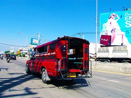 IMG_2317 IMG_2317