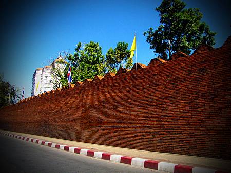 IMG_2341 IMG_2341