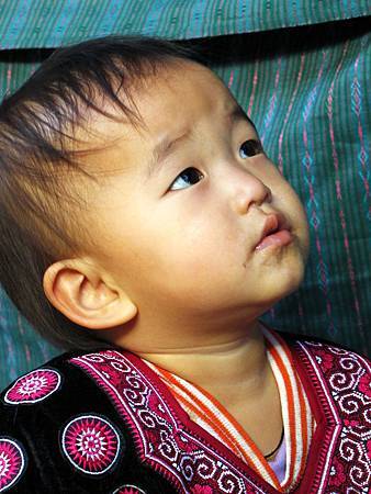 IMG_2403 IMG_2403