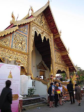 IMG_2441 IMG_2441