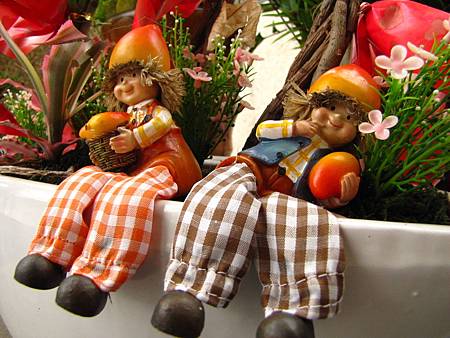 IMG_8148 IMG_8148