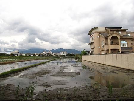 IMG_8227 IMG_8227
