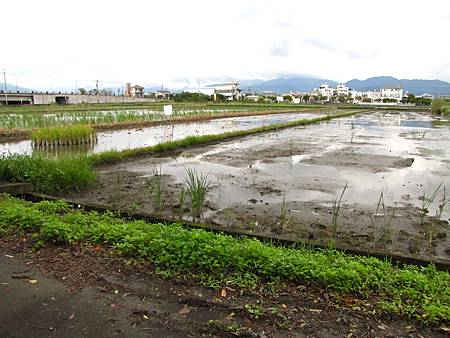 IMG_8229 IMG_8229