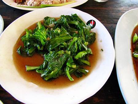 IMG_2790 IMG_2790