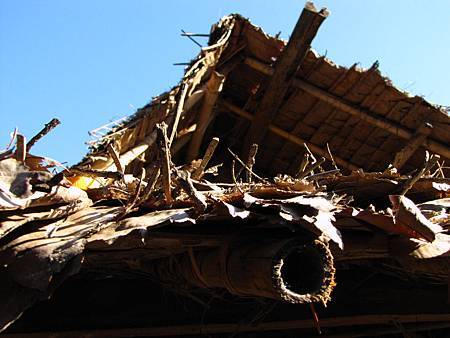 IMG_2947 IMG_2947